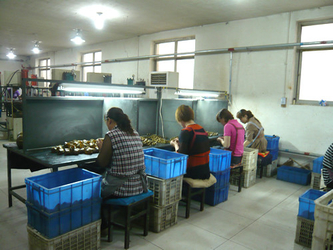 Sunrise Foundry CO.,LTD